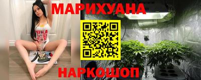 индика Гусиноозёрск