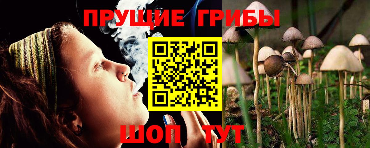 Галлюциногенные грибы MAGIC MUSHROOMS Качканар