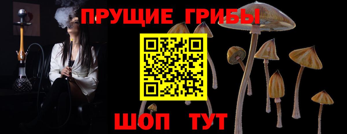 магазин продажи   Вход с VPN  Качканар  Псилоцибиновые грибы мицелий  Псилоцибиновые грибы ЛСД 